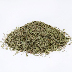 TARHUN (Artemisia dracunculus)